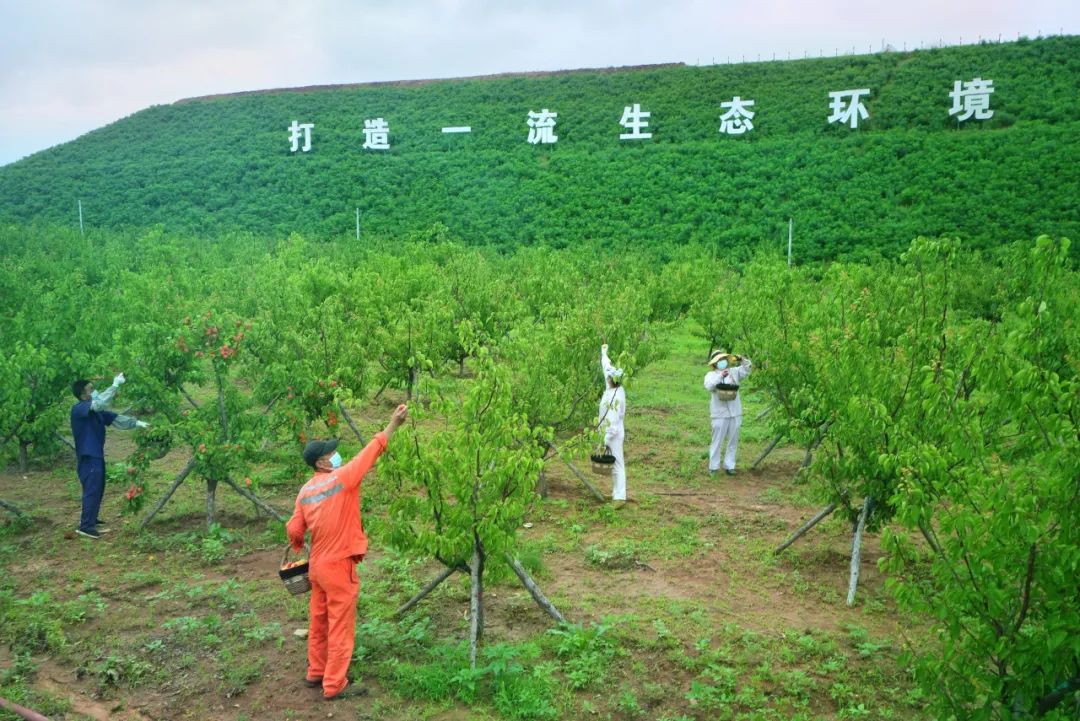 说明: 图片