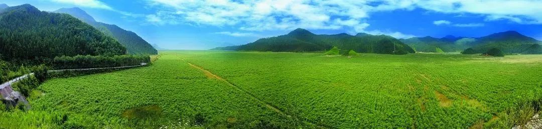 说明: 图片