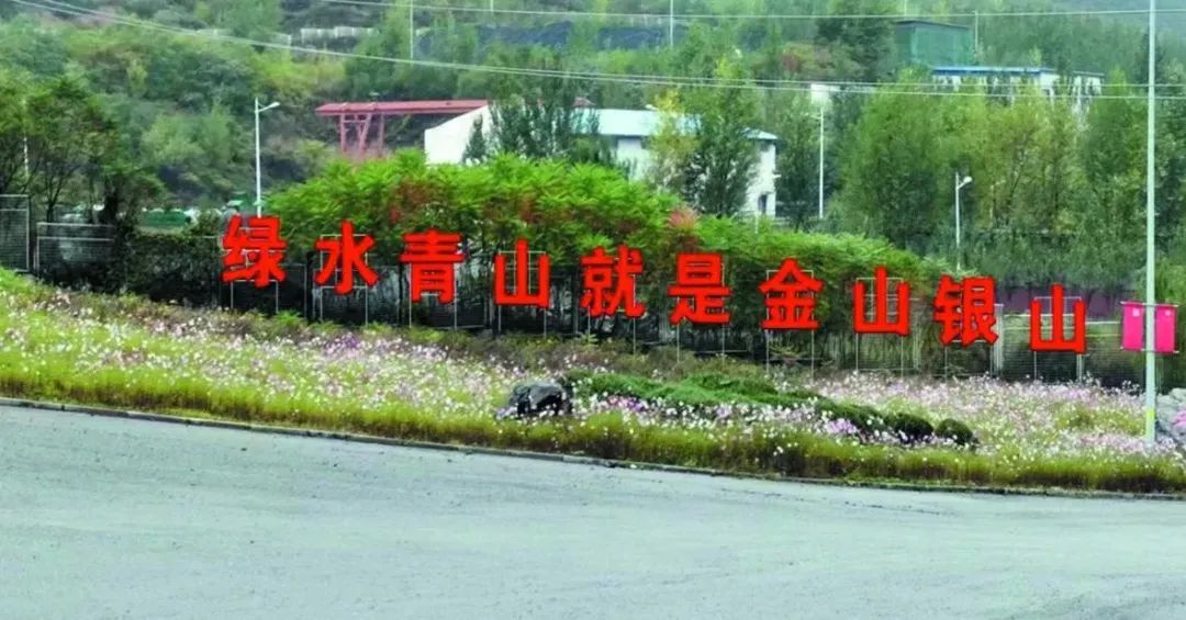 说明: 图片