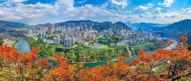 说明: 图片